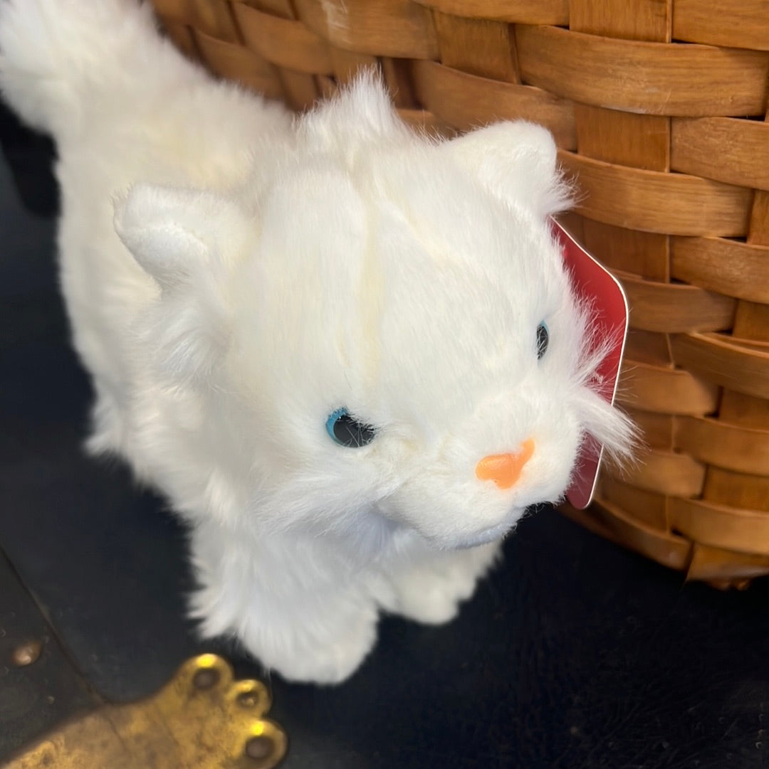 Little Handful 5” Mini Himalayan Kitten