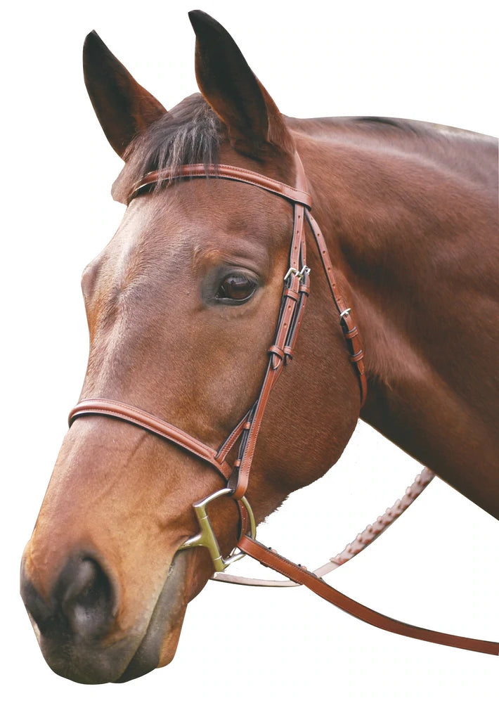 Henri De Rivel Plain Raised Snaffle Bridle-Horse Size