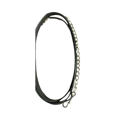 Henri De Rivel 6ft Black Leather Lead Rope With Silver chain