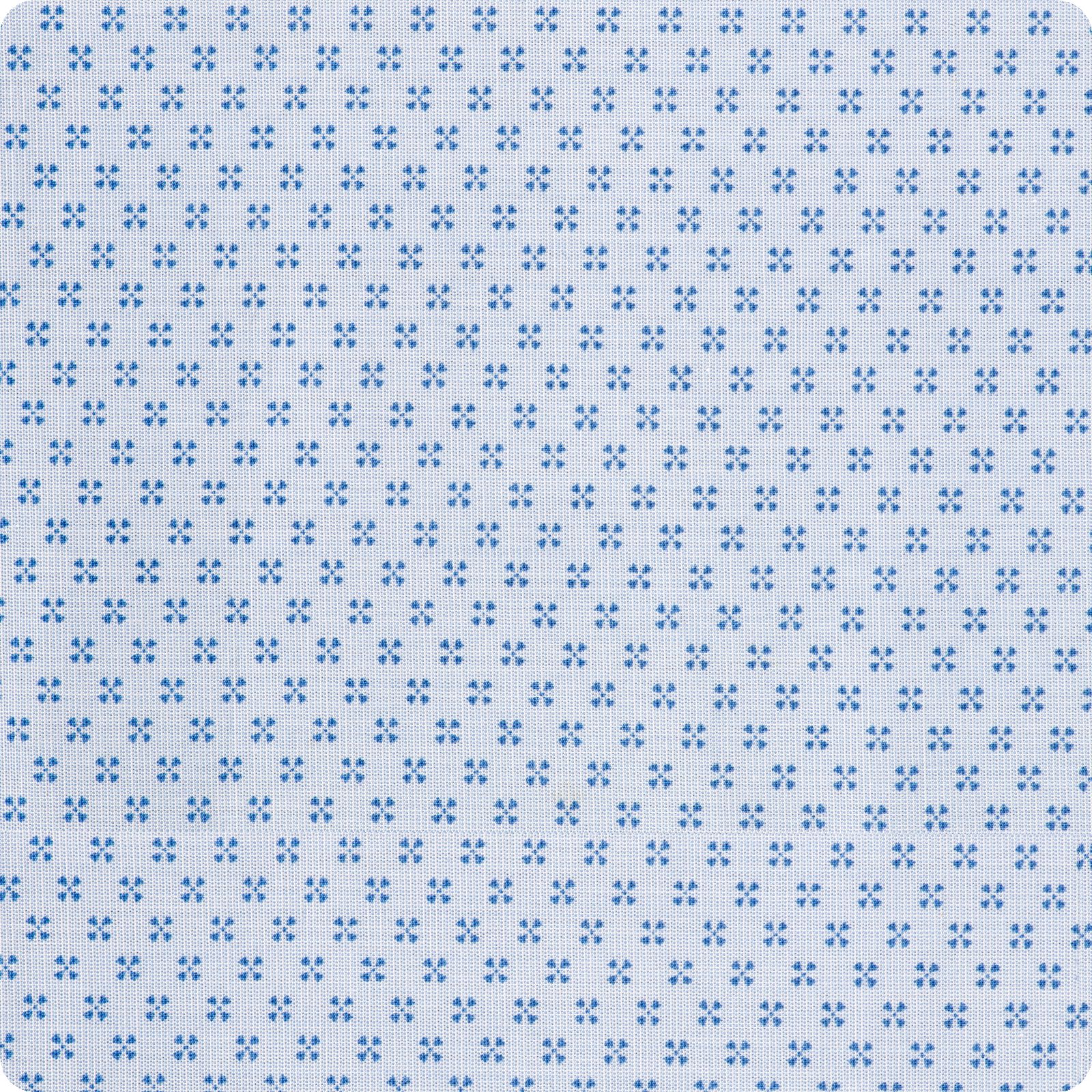 R.J. Classics Maddie Show Shirt 37.5 Classic Neat