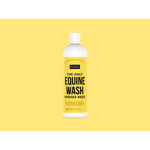 The Only Equine Wash Horses Need