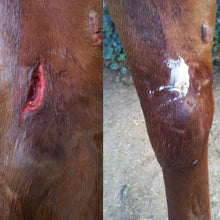 Redmond First Aid Horse Paste 8 oz