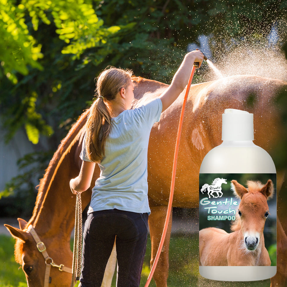 The Blissful Horses Gentle Touch Shampoo Gentle Touch Shampoo | All Purpose Shampoo for Horses, Foals & Seniors