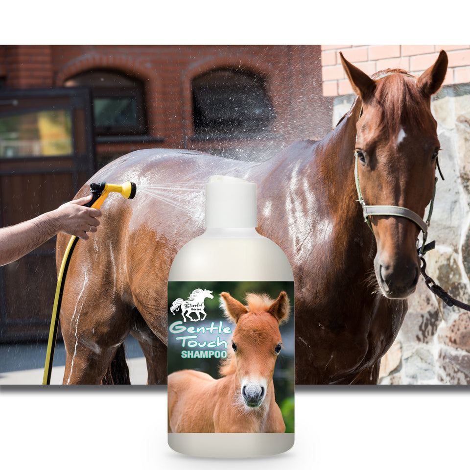 The Blissful Horses Gentle Touch Shampoo Gentle Touch Shampoo | All Purpose Shampoo for Horses, Foals & Seniors
