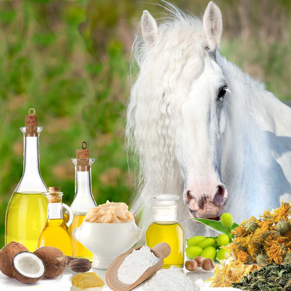 The Blissful Horse Summer Care Butter 4 oz Tin Sunblock