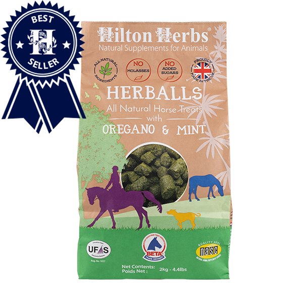 Hilton Herbs Oregano and Mint Horse Treats