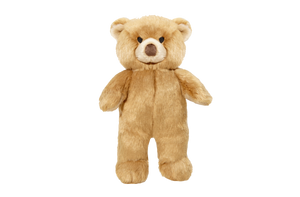 Mr. Honey Bear Plush Toy Delray