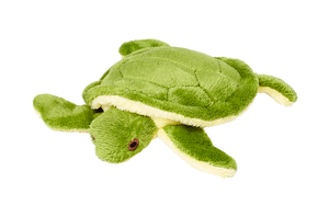 Shelly the Turtle Plush Toy Delray