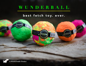 Wunderball Wonderball X-Large for Dogs