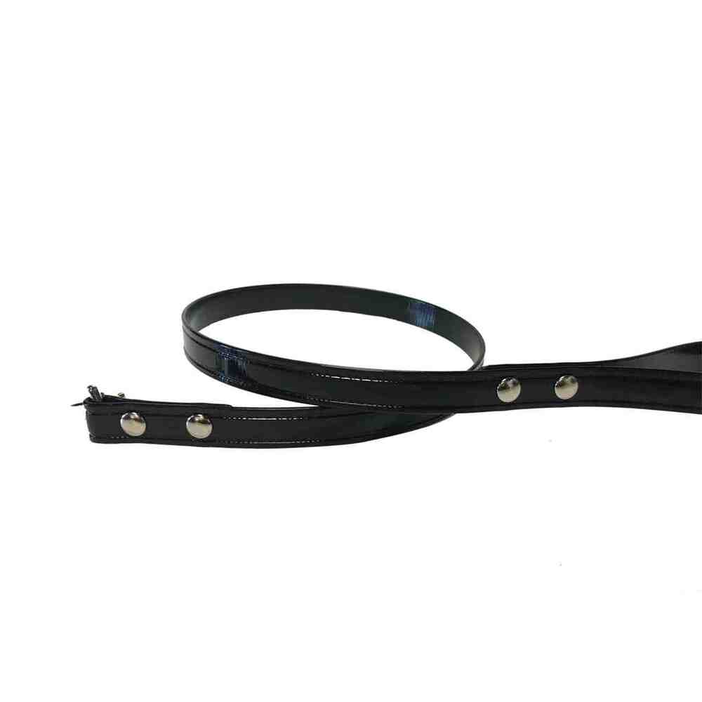 Hydro Horse or Dog Leads 1" X 72" Multicolors black