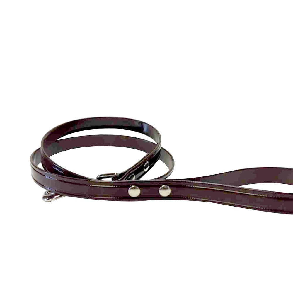 Hydro Horse or Dog Leads 1" X 72" Multicolors brown