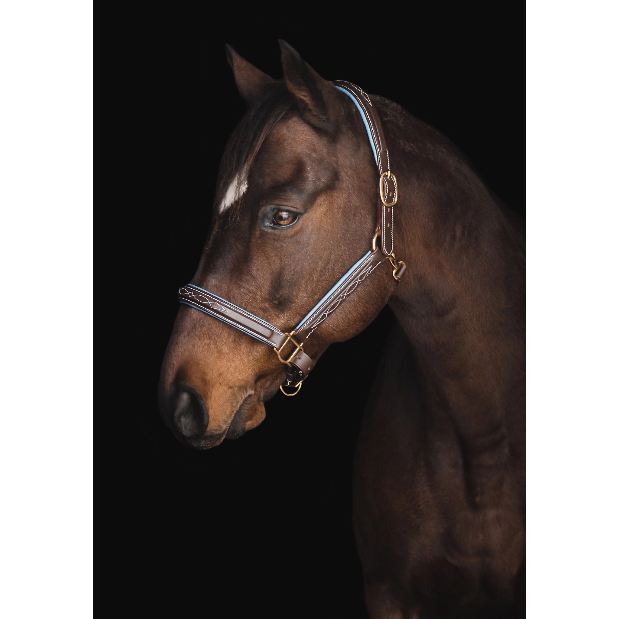 The Derby Collection: Fancy Stitch Halter Fancy Stitch Halter - Brown Leather with Baby Blue