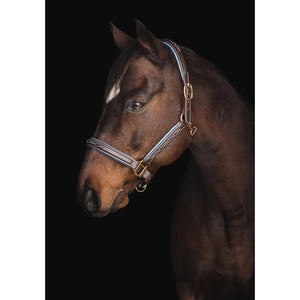 The Derby Collection: Fancy Stitch Halter Fancy Stitch Halter - Brown Leather with Baby Blue