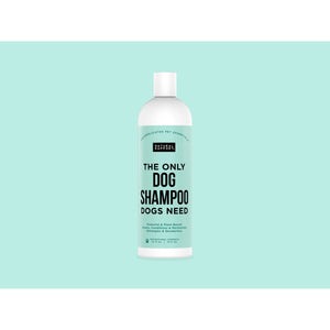 The Only Dog Shampoo Dogs Need delray