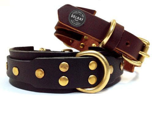 Delray Feed and Supply Equestrian Leather Dog Collar