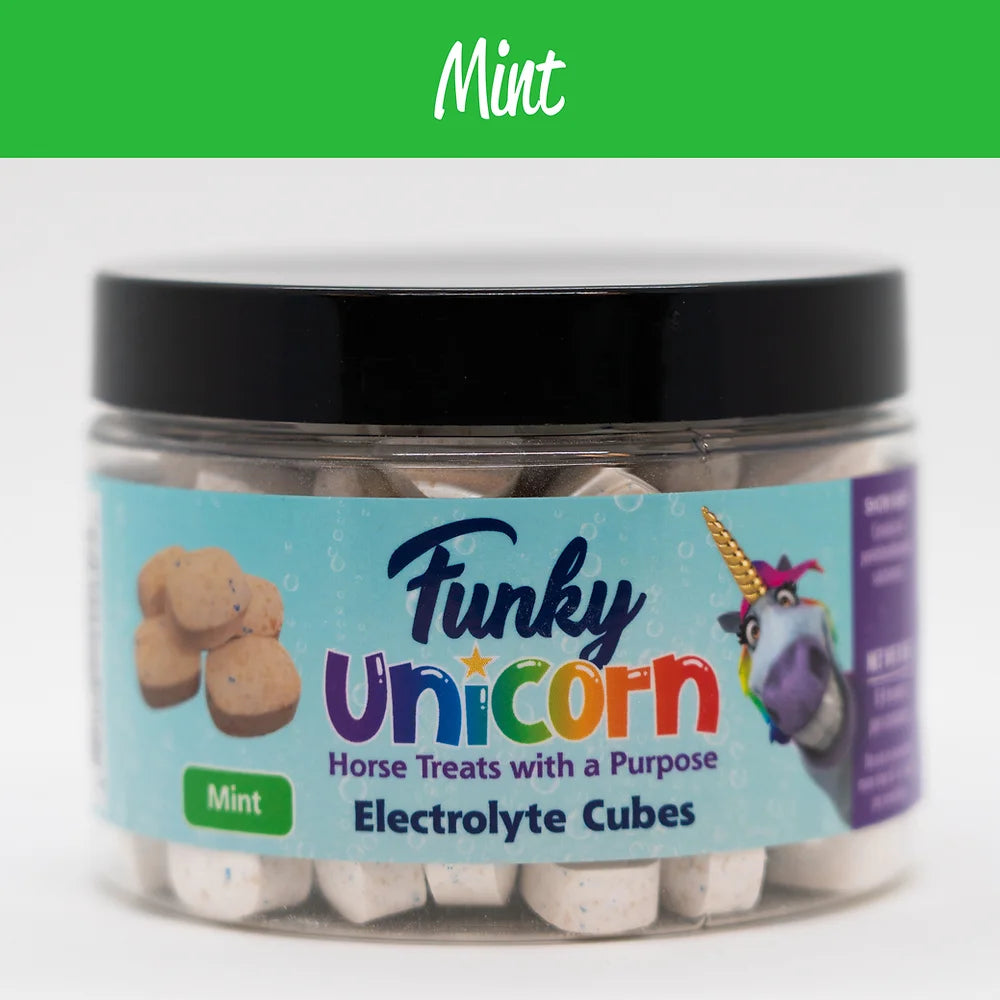 Funky Unicorn Electrolyte Cubes for Horses and Ponies Boca Raton Delray
