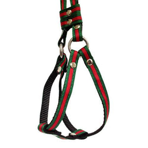 Delray Feed and Supply's Designer Inspired Step-In Harness w/ Leash