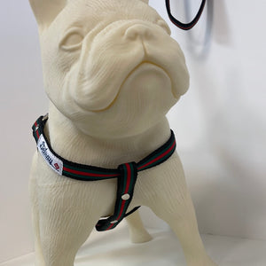Delray Feed & Supply Luxury Ribbon Harness Adjustable
