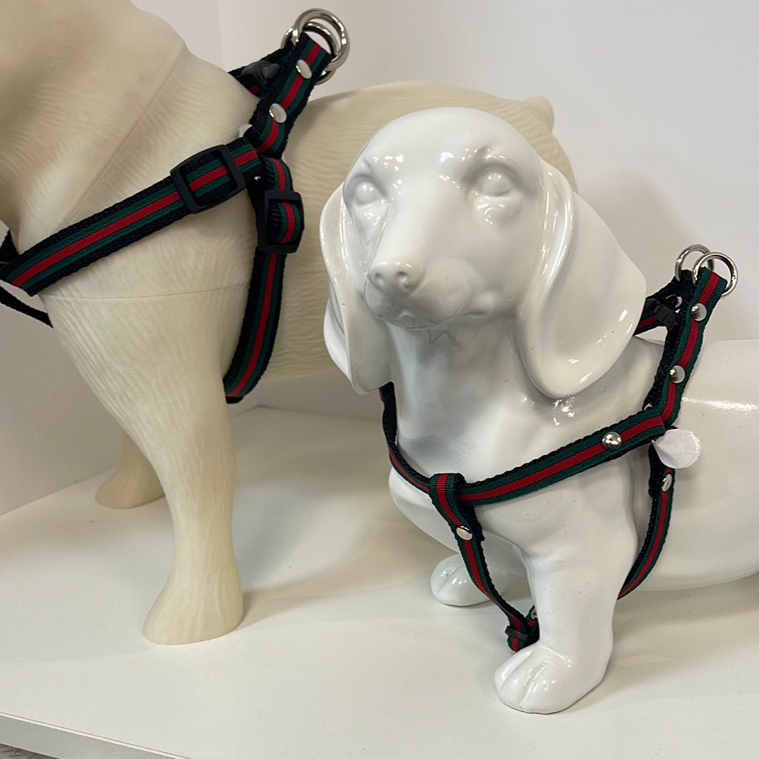 Delray Feed & Supply Luxury Ribbon Harness Adjustable