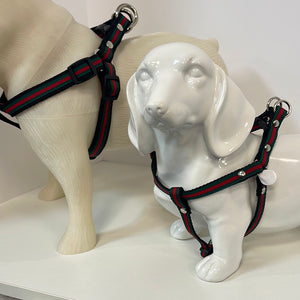 Delray Feed & Supply Luxury Ribbon Harness Adjustable