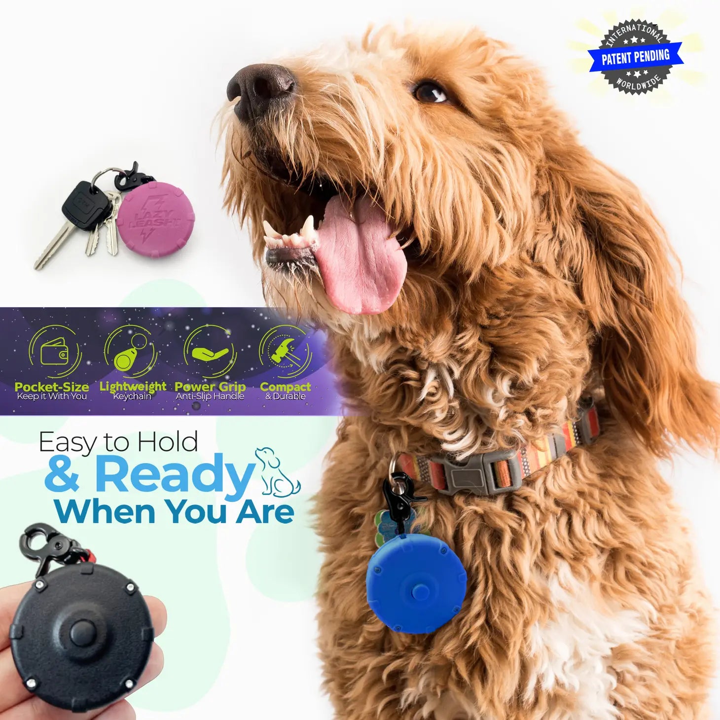 3ft online dog leash