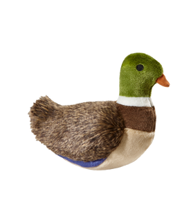 Morley the Mallard Duck Plush Toy for Dogs