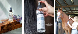The Infused Equestrian - shiny. A Mane & Tail Conditioner (4 oz)