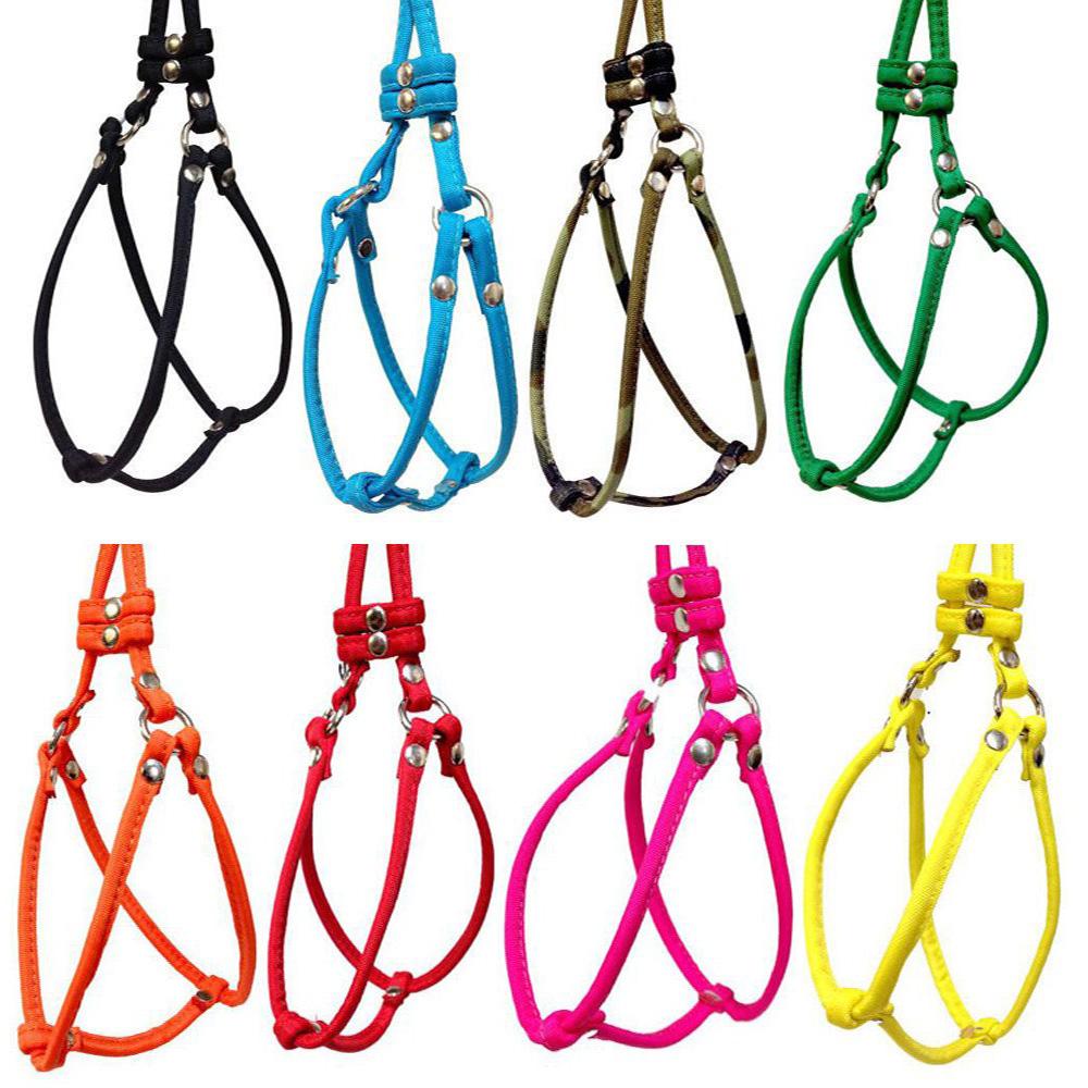 Step-In Nylon Dog Harness and Leash