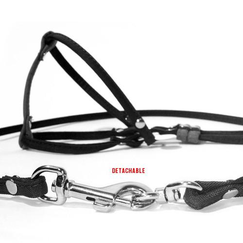 Step-In Nylon Dog Harness and Leash