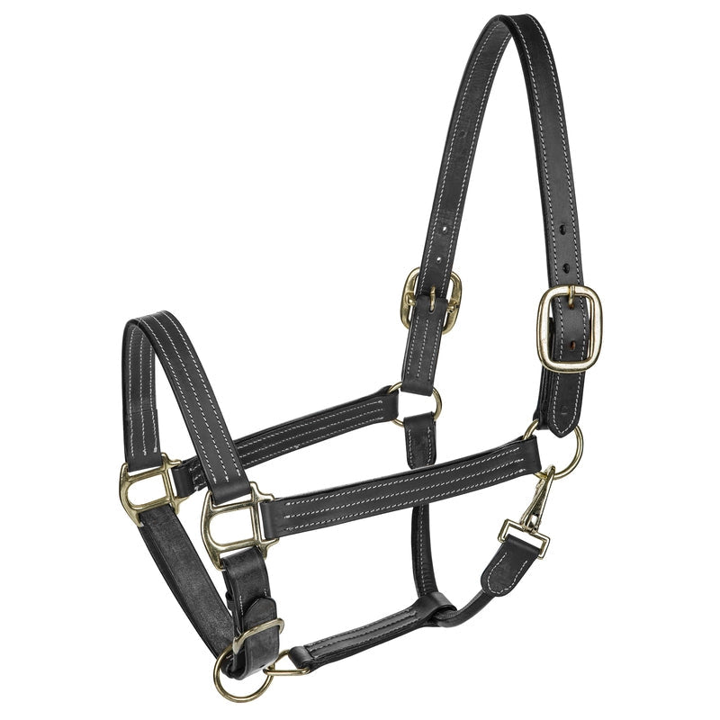 Henri De Rivel Triple Stitched Halter Horse Black